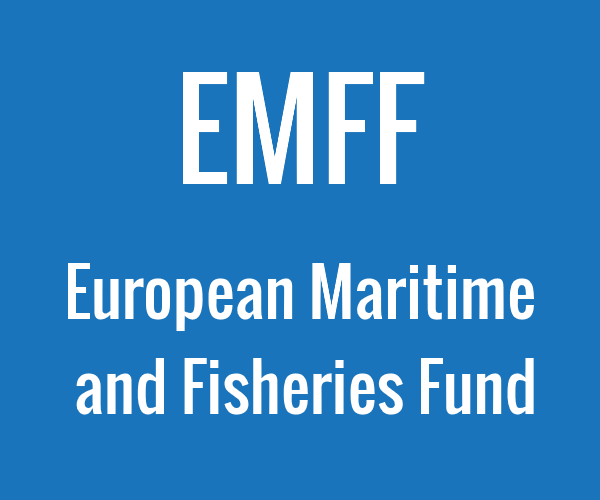 European Maritime and Fisheries Fund | Europe en France, the european funds  portal in France